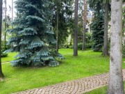Продажа дома Горки-7 750 м² Пятницкое шоссе - Участок - foto_lw