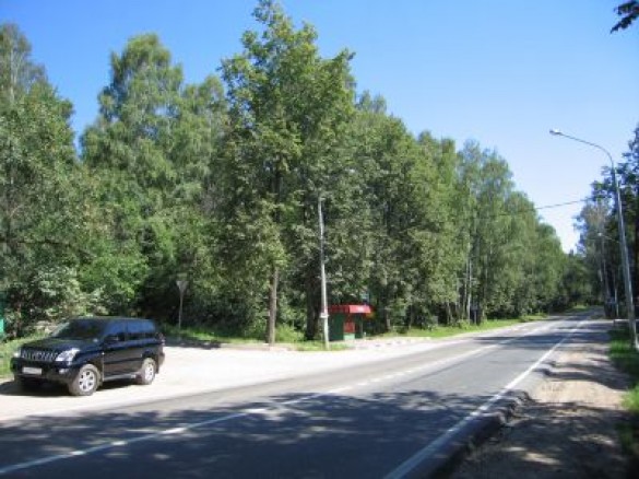 Продажа участка Горки-6 58 соток Ильинское шоссе - foto1.jpg